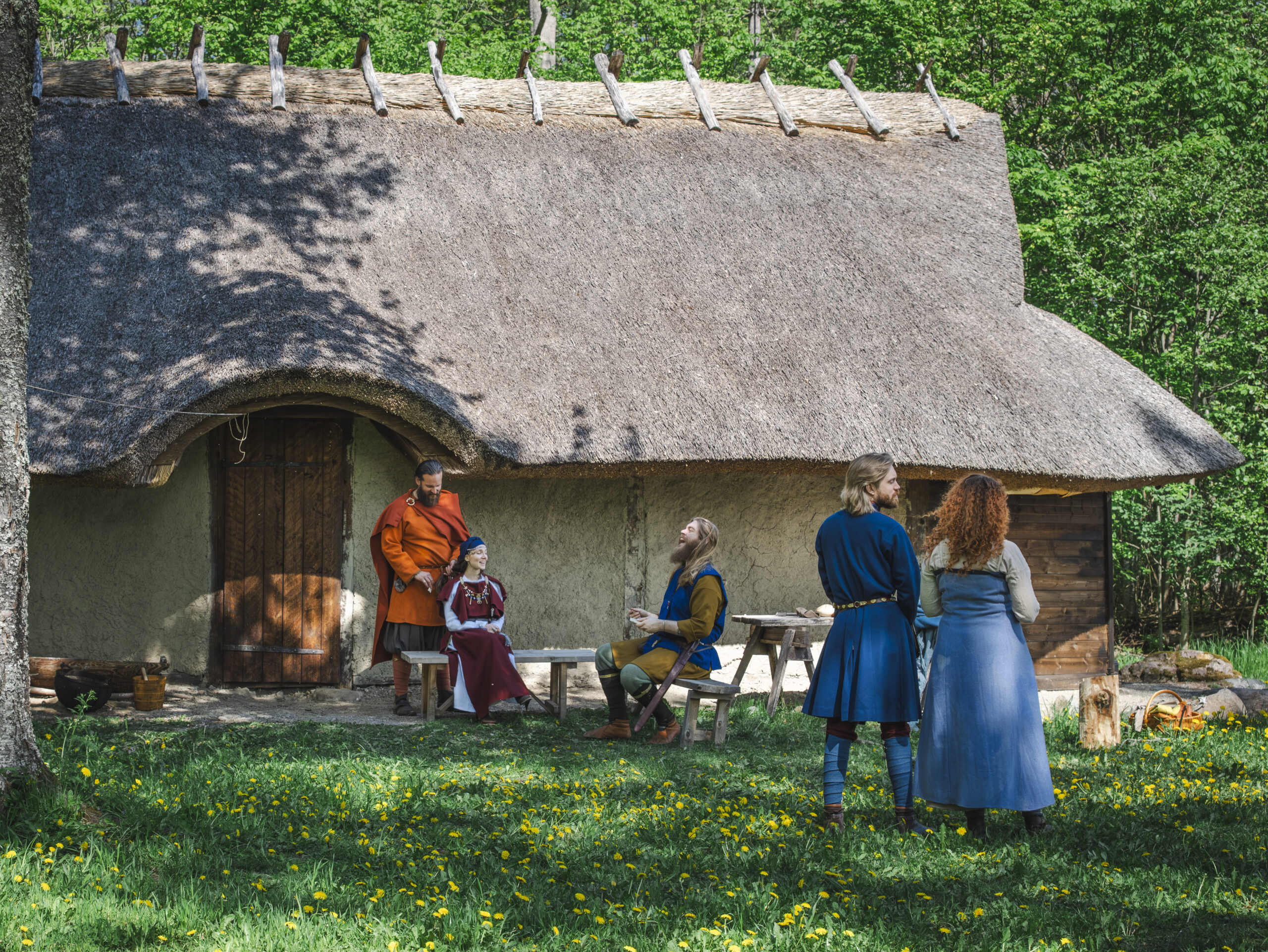 En grupp vikingar är ute på gården sommartid.
